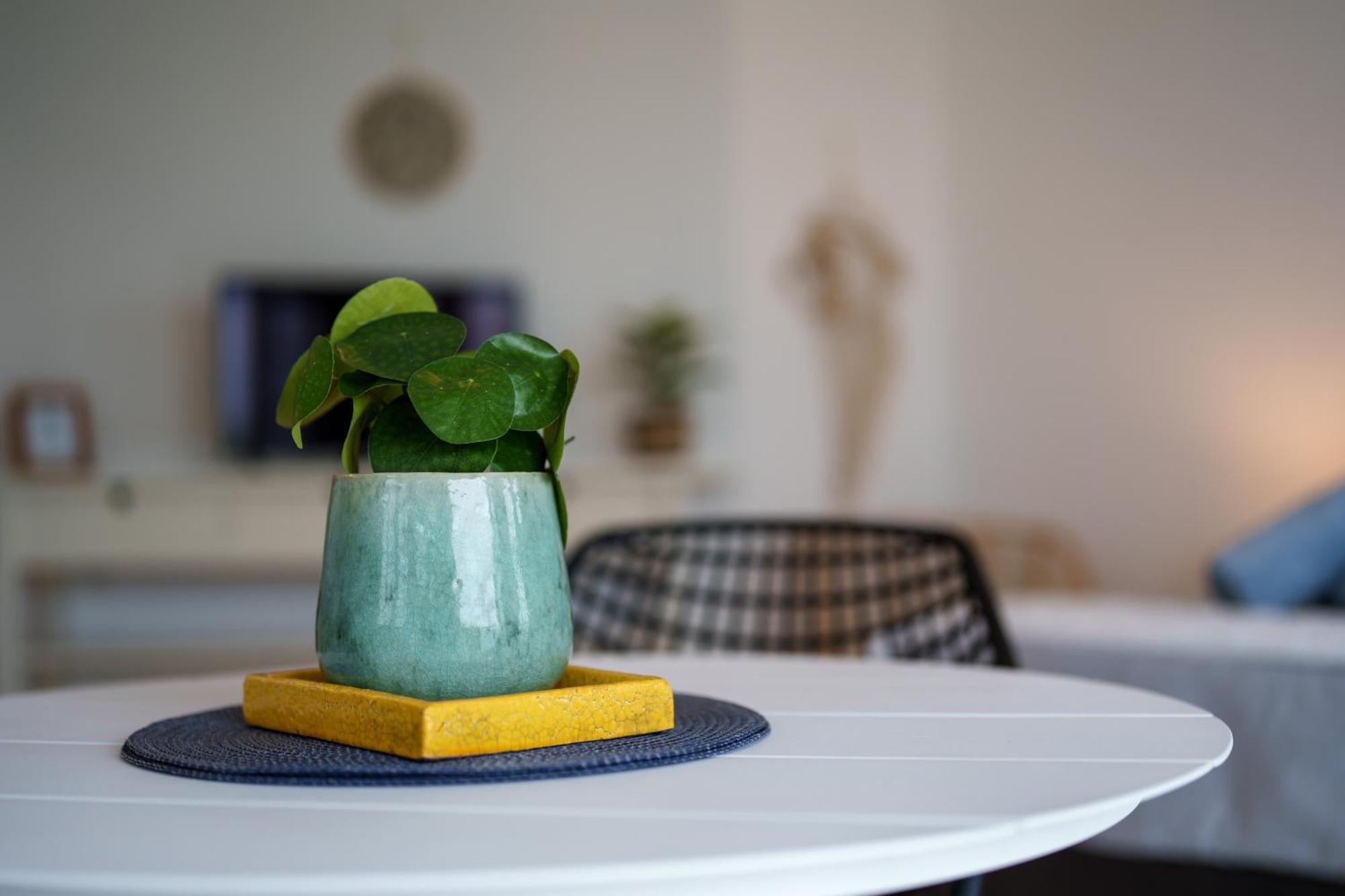 Waterside Apartments Вилемстад Екстериор снимка